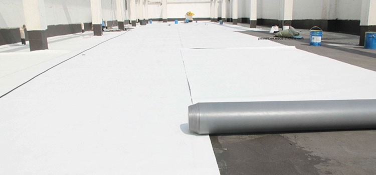 Thermoplastic Polyolefin Roofing Duarte